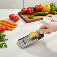 Ustensiles de cuisine : Mini râpe manuelle en acier inoxydable en forme de cuillère pour gingembre, wasabi, moutarde, broyeur de pâte d'ail, et pour purée de carotte