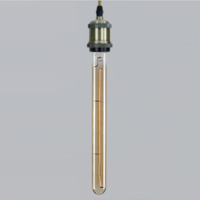 Ampoule à filament vintage rétro, ampoule Edison A19 BT53 C35 G80 G95 G125 ST58 ST64 T30 T45, ampoules à incandescence de style antique