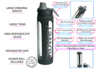 Zwart 450 Ml Outdoor Mango Sap Fruit Glazen Fles Met Handvat Deksel En Filter