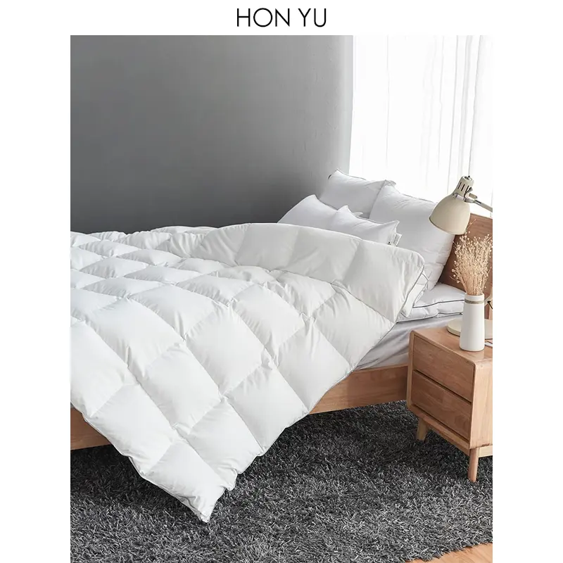 Premium Down Comforter Queen Size All Season Luxurious Down Duvet Insert with 100% Cotton Shell for Queen Bed