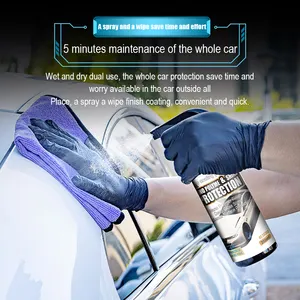 OEM/ODM 350ml cuidado del coche duradero repelente al agua revestimiento en aerosol de cerámica Etiqueta Privada revestimiento en aerosol de cerámica