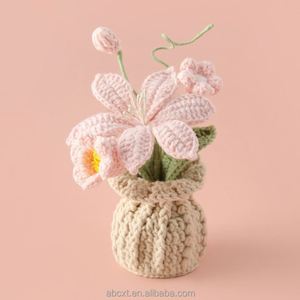 Maceta de Ganchillo Vintage para Flores, Maceta Tejida a Mano para Orquídeas, Maceta de Ganchillo para Plantas - Product Image 6