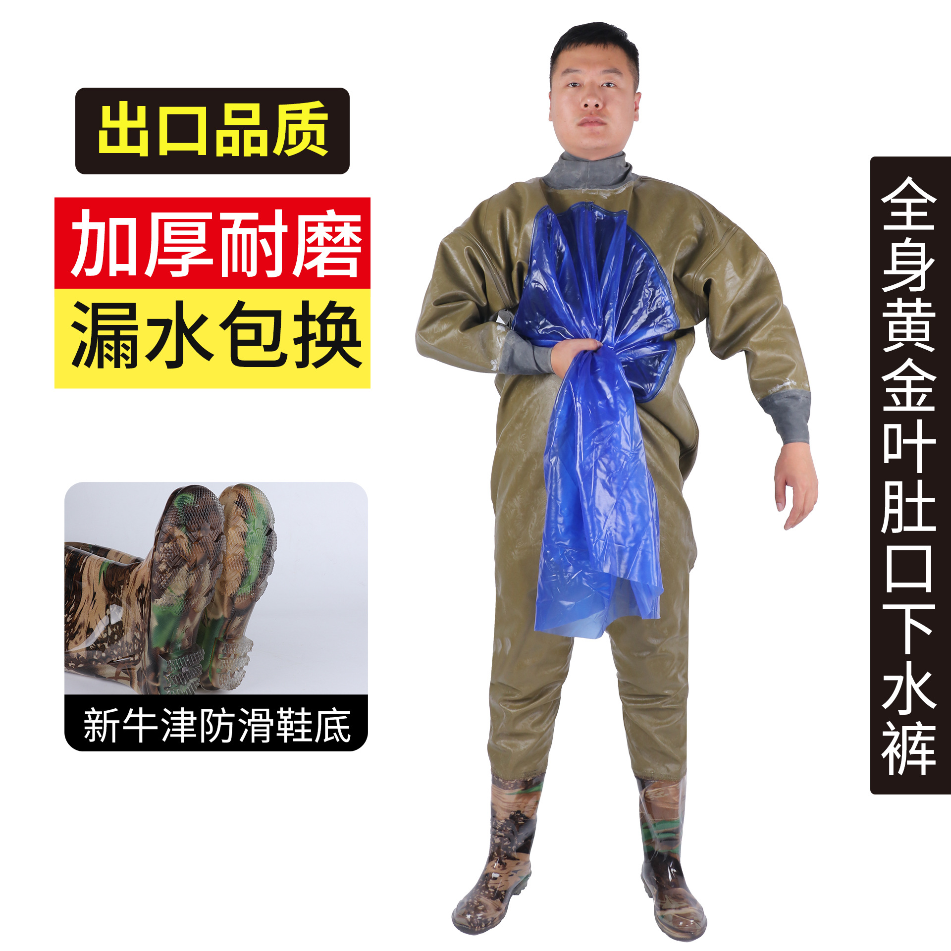 ใบไม้สีทองทั่วทั้งพื้นท้อง