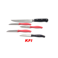 Ensemble de couteaux à fruits en acier inoxydable pour la cuisine Excellent emballage Support OEM personnalisé de qualité bricolage