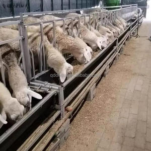 양 염소 위치 지정 가축 급이통 양 염소 급이기 농장 장비 소독, 주사 및 일상 관리를 간소화 - Product Image 5