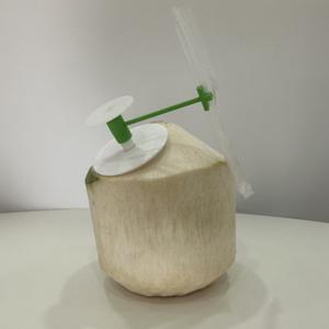 Juego de herramientas de abridor de coco de plástico 3 en 1 para apertura de coco tierno - Product Image 4