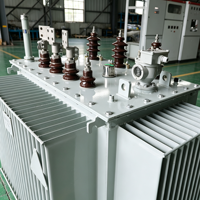 Transformateur de distribution immergé dans l'huile triphasé S20 à haut rendement énergétique 50-315 kVA 50 Hz/60 Hz IEC60076 Cuivre OEM