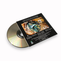 Sampul Kertas Karton Cetak Warna Penuh Kustom untuk Kemasan Album Musik Satu Disk