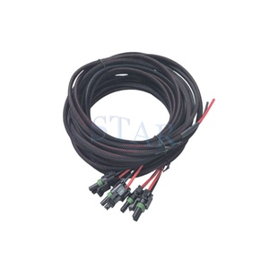 工厂定制汽车2针汽车连接器线束不同长度 - Product Image 2