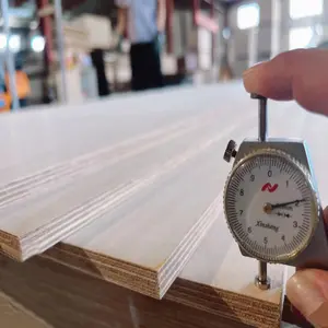 18 mm gewöhnliches kunstvolles Poplar-Birken-Plywood zu konkurrenzfähigem Preis