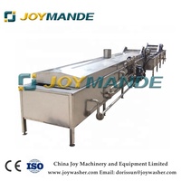 Hoge Kwaliteit Industriële Mango Fruit Warm Water Behandeling Machines Prijs Geblancheerde Machine Vruchten