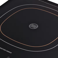 Bonne qualité Basse Tension Mini Ir Maison Utilisé Plaque à Induction Cuisinière à Induction