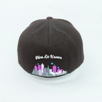 Casquette Snapback Vintage à 6 Panneaux Brodée Style Hip Hop Western Rétro
