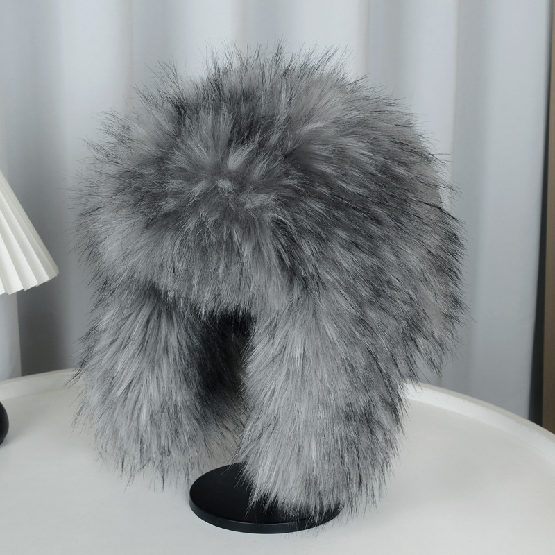 Gray Raccoon