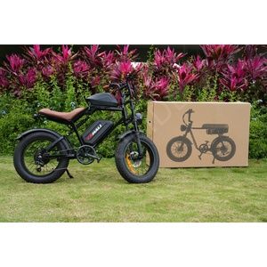 Bicicleta Eléctrica de Montaña Ecoride V2 de Alta Calidad, 350w, 48v10.4ah, Largo Alcance, para Adultos, V2, Fábrica Europea - Product Image 4