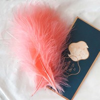 Plumes de confection de mouches, 20 couleurs disponibles, 100 pièces par sac