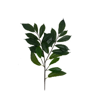 Feuilles d'arbre de mangue artificielles en plastique de style nordique - Feuilles décoratives hautement réalistes et écologiques pour la remise des diplômes et le Nouvel An chinois - Product Image 6