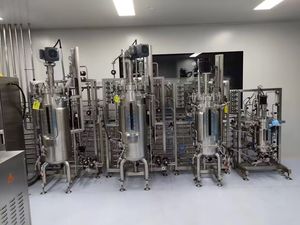 Systèmes de fermentation pilote de 150 L, bioréacteur bactérien industriel - Product Image 4