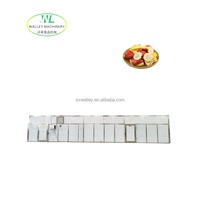 Aangepaste industriële hoog-efficiënte PLC-gestuurde roestvrijstalen 304 commerciële tunnel droogoven voor fruit met hoge suikergehalte, lade-type
