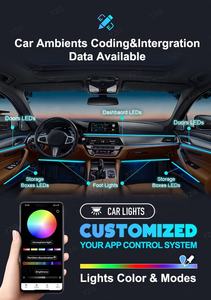 Hot accesorios Para tunear Led Xe môi trường xung quanh màu đen Dải môi trường xung quanh lightautos cửa xử lý thông minh nhiều màu RGB giao hưởng Acrylic - Product Image 5