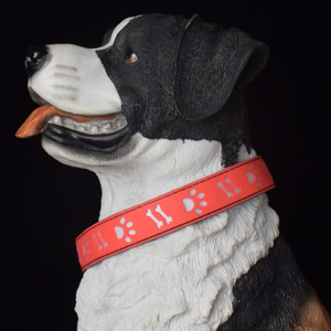 <span class=keywords><strong>Collar</strong></span> Luminoso para Mascotas de Varios Tamaños, <span class=keywords><strong>Collar</strong></span> LED Recargable con Tira Reflectante y Carga Tipo-C para Perros - Product Image 2
