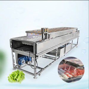 Máquina de Limpieza de Frutas y Verduras Totalmente Automática con Tecnología de Pulverización de Alta Presión, Acero Inoxidable 304, 220/380V Central - Product Image 4