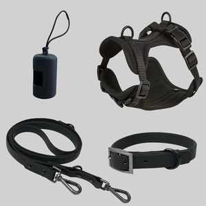Silicone Waterproof <strong>Dog</strong> Walking Kit 4-in-1 Harness Collar <strong>Leash</strong> Poop Bag Dispenser Adjustable Dual-Clip Pet Walk Set Custom Logo - Product Image 4