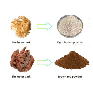 Estratto in Polvere di Corteccia Interna di Olmo Rosso 100% Puro Naturale Tradizionale per Gola, Tosse e Digestione - Product Image 3