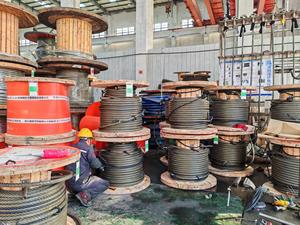 42mm安全亜鉛メッキ鋼線ロープスリングアイアイタイプワイヤーロープリフティングスリングケーブルアイループ付き近海用 - Product Image 6