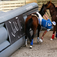 Vente en gros d'usine, arène de jeu gonflable géante, terrain de jeu portable pour le ballon de cheval, clôture de sport gonflable à vendre