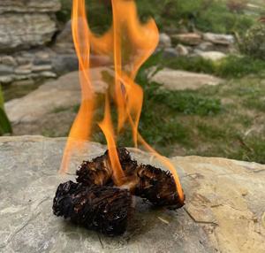 Customized CCICC FS-029-dcdd Solid Fuel Wood Wool Eco <strong>Firelighter</strong> with Covers Easily Cleaned for Barbecue Factory Price - Product Image 2