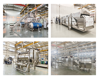 Aanpasbare automatische productielijn voor diepvriesfrieten, aardappelverwerkingsmachine voor grote snackfabrieken