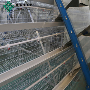 Hot Bán Một Loại Kích Thước 10000 Chim Gà Trứng Đẻ Pin Gà Lớp Lồng Cho Gia Cầm Nông Nghiệp Thương Hiệu Điều Kiện Mới - Product Image 2