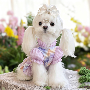 Vêtements d'hiver pour chiens, nouveau style, robe de princesse pour petits chiens et combinaison pour Bichon Frise, vente en gros disponible - Product Image 3