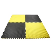 Matras Busa EVA Ukuran 100cmx100cm Tebal 2 3 4 cm Interlocking Taekwondo Tatami Puzzle Lantai