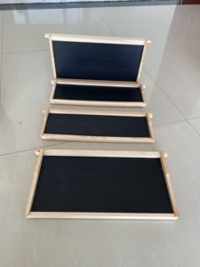 Nuevo Lote de Producción: Marco de Madera con Base de Plástico Ensamblado para Apicultura - Product Image 6