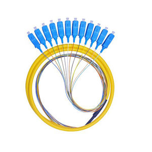 <span class=keywords><strong>12</strong></span> <span class=keywords><strong>brins</strong></span> 9/125 <span class=keywords><strong>fibre</strong></span> <span class=keywords><strong>optique</strong></span> Pigtail SC/APC <span class=keywords><strong>monomode</strong></span> <span class=keywords><strong>12</strong></span> <span class=keywords><strong>fibre</strong></span> Pigtail 1-3 mètres - Product Image 1