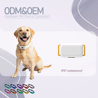 OEM&ODM Collier GPS Intelligent Étanche sans Abonnement pour Animaux de Compagnie, Portable, pour Surveillance en Parc et Randonnée