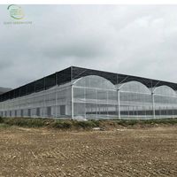 Multi-Span Poly Tunnel Film plastique Serres Système hydroponique Maison verte à vendre