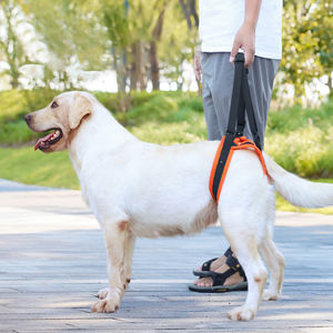 สายรัดขาสัตว์เลี้ยงสำหรับจูงสุนัข-สายรัดป้องกันขาหลังสำหรับผู้พิการหรือบาดเจ็บ-สายรัดช่วยเหลือสุนัขสูงอายุ - Product Image 3
