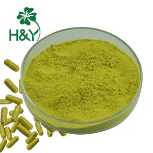 CAS 117-39-5 100% pure natural sophora japonica extract 98% quercetin anhydrous quercetin granular