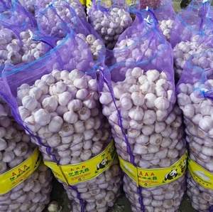 Ail Blanc <span class=keywords><strong>Frais</strong></span> en Gros, Fournisseur Chinois Fiable, Ail <span class=keywords><strong>Frais</strong></span> en Vrac, Ajo Chino, Ajos Frescos, <span class=keywords><strong>Légumes</strong></span> <span class=keywords><strong>Frais</strong></span> - Product Image 3