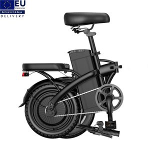 Bicicleta Eléctrica Plegable Ligera de Acero al Carbono, 48V 13Ah, Larga Duración, 14 Pulgadas, Neumáticos Antipinchazos al Vacío - Product Image 1