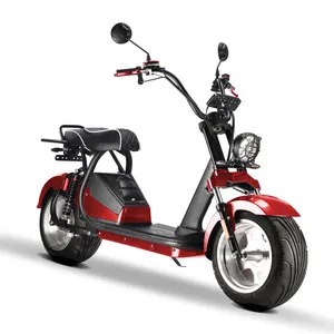 New Arriving 2000W/3000W Two-wheel wide tire electric city coco scooter citycoco motorcycle electric moto