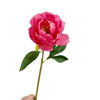 Bunga Buatan, Lukisan Minyak Bunga Peony, Ranunculus, Dekorasi Awal Perlengkapan Furnitur Lembut Seni Bunga Pernikahan
