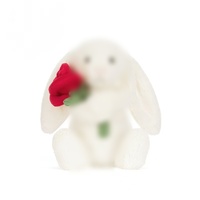 Peluches de la série Lapin Esthétique, style Jelly Cats, en coton PP, poupée lapin en peluche, porte-clés, pendentif, sac bandoulière