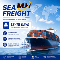 DDP Professional ACE China, Agente de Carga Internacional, Logística Express Rápida de 4 a 7 Días, Mercancías Peligrosas, Verificado por Alibaba, FBA