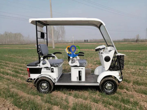 Petite voiture électrique <span class=keywords><strong>A1</strong></span> bon marché, voiture de rue, scooter électrique pour voyage 650w, batterie 48v-60v - Product Image 5