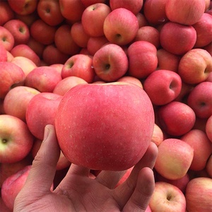Trung Quốc Tươi Blush Red <span class=keywords><strong>Fuji</strong></span> Táo Trái Cây Xuất Khẩu Sang Thị Trường Ấn Độ - Product Image 2
