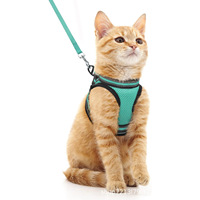 Set Harness dan Tali Kucing Ramah Lingkungan Mewah dari Bahan Nylon Solid, Anti Lepas, Dapat Disesuaikan, Lembut, Tanpa Mencekik, Ringan, Tali Dada untuk Berjalan